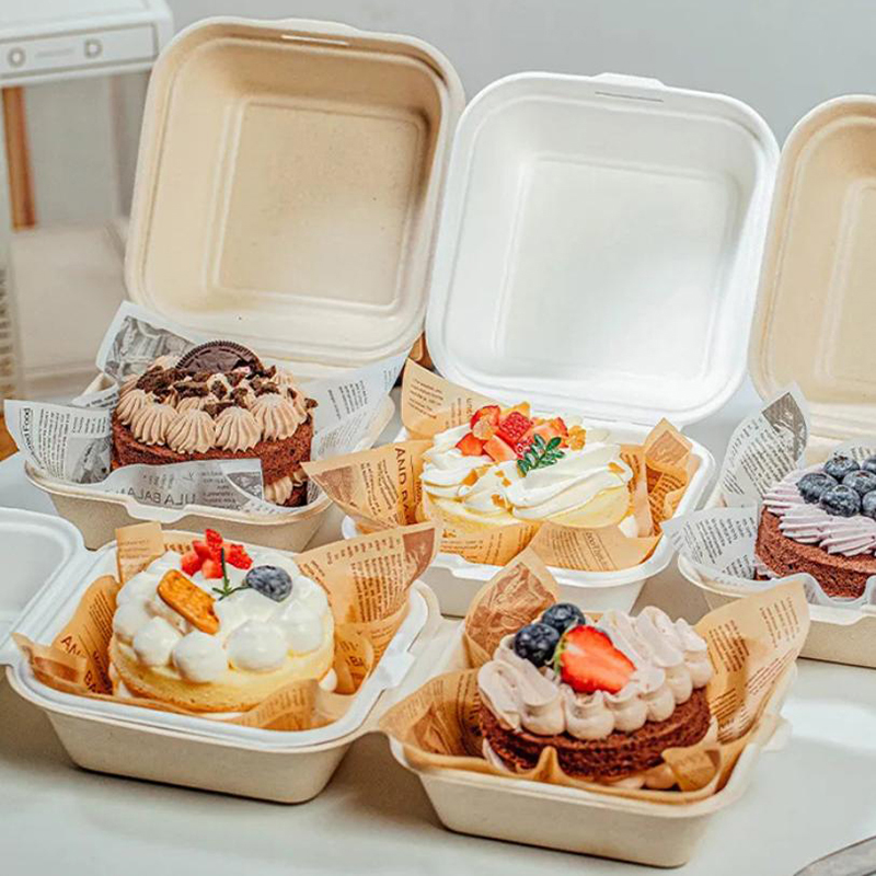 Nice Food Snacks - 【Mooi】10 stuks wegwerp bento-voedselcontainers bakken dessert