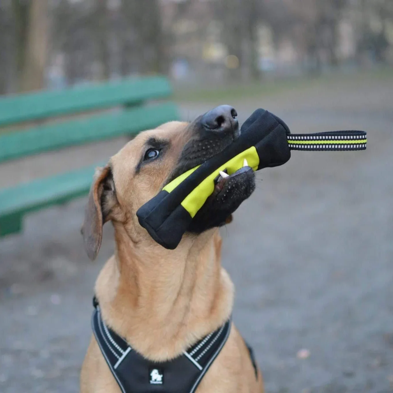 Truelove Hondentraining Retrie - Quality Food Snacks recensie en prijs