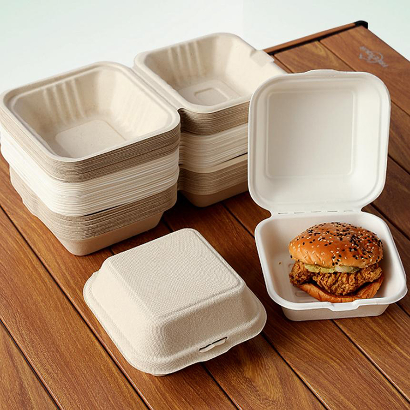 【Mooi】10 stuks wegwerp bento-v - Nice Food Snacks recensie en prijs