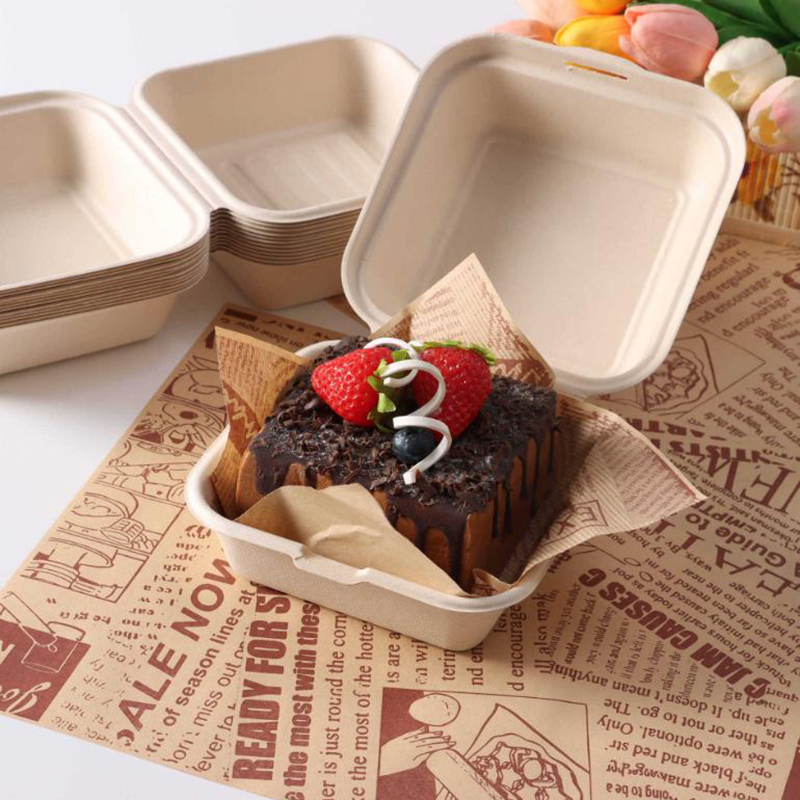 【Mooi】10 stuks wegwerp bento-v - Nice Food Snacks recensie en prijs